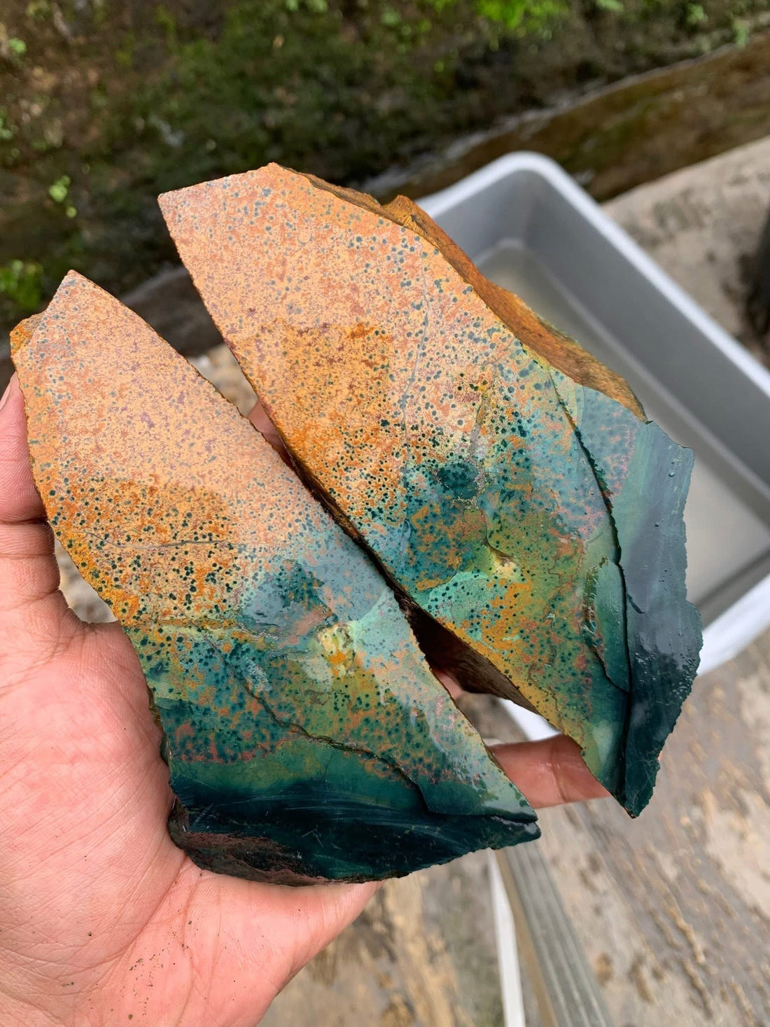 Morningdew Jasper Rare Stone